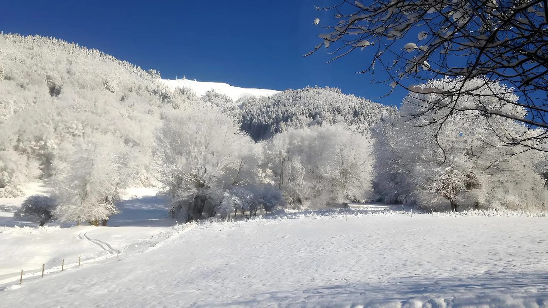 Chalet La Perle Montriond 0*,  France